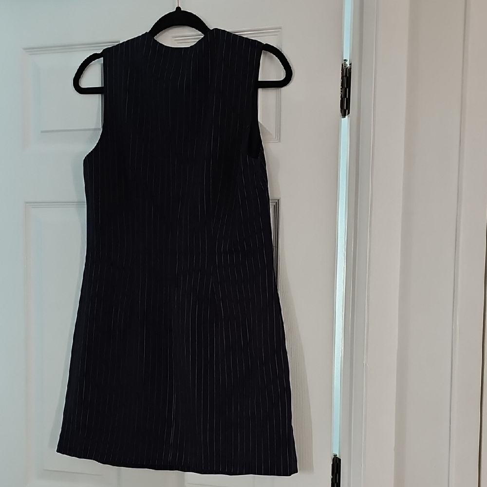 NWT Steve Madden Pinstripe Sleeveless V-Neck Button Front Dress - Small - Picture 3 of 12